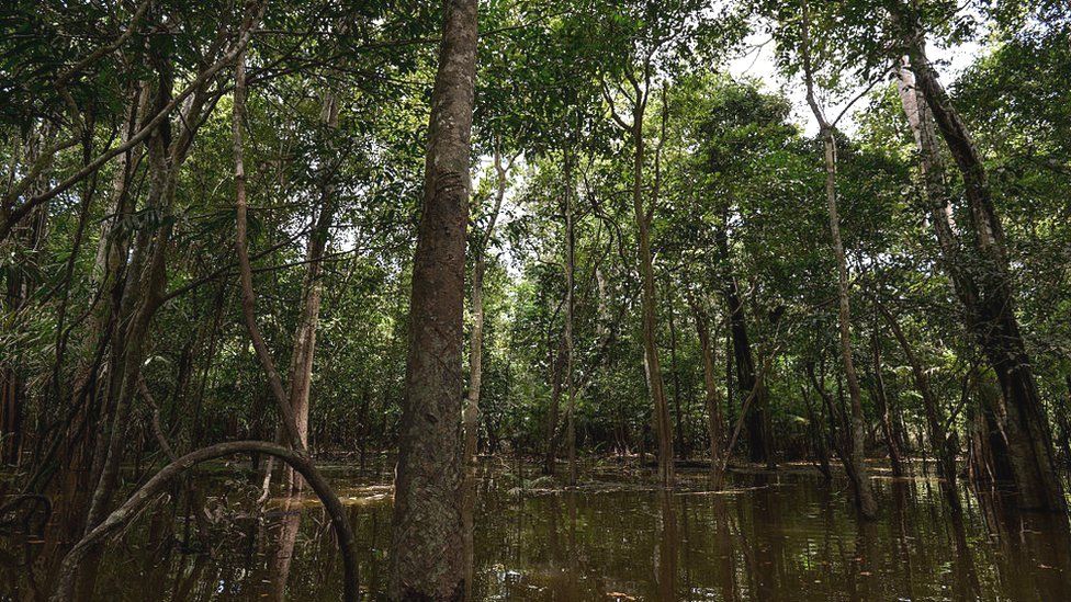 Two young indigenous boys rescued after almost four weeks lost in Brazil's Amazon rainforest have been found and taken to hospital.